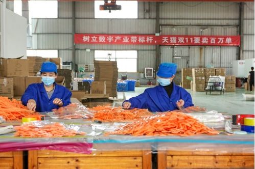 天貓雙11開門紅 產(chǎn)業(yè)帶廠貨成交額同比激增1700%，餐飲服務(wù)迎來消費(fèi)新熱潮