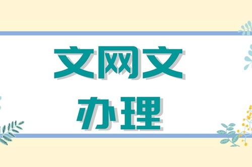湖南長(zhǎng)沙網(wǎng)絡(luò)文化經(jīng)營(yíng)許可證辦理價(jià)格與服務(wù)指南