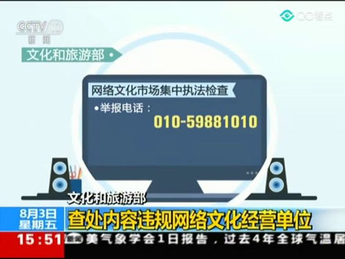 文化和旅游部嚴(yán)查網(wǎng)絡(luò)文化經(jīng)營(yíng)違規(guī)行為，推動(dòng)行業(yè)健康發(fā)展